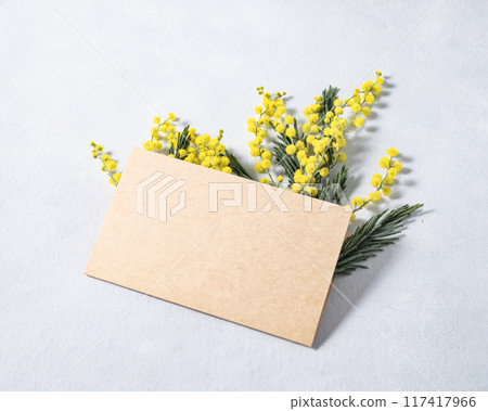 A branch of yellow mimosa flowers in a craft postcard on a light background. Concept of 8 March A branch of yellow mimosa flowers in a craft postcard on a light background. Concept of 8 March 117417966