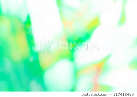 Light and shadow green background material Light and shadow green background material 117418480