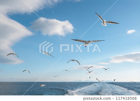 A flock of seagulls flying over the blue sea is a departure scene A flock of seagulls flying over the blue sea is a departure scene 117418508