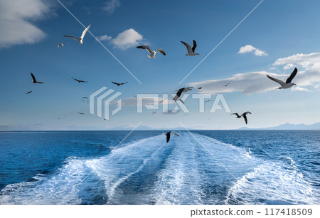 一群海鷗飛過蔚藍的大海，標誌著出發。 117418509