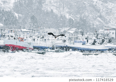 冬天的知床，白雪皚皚的鄉村，北海鷹在港口的海上飛翔 117418529