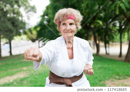 Old lady exercising karate in park 117418685