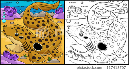 Epaulette Shark Coloring Page Colored Illustration 117418707