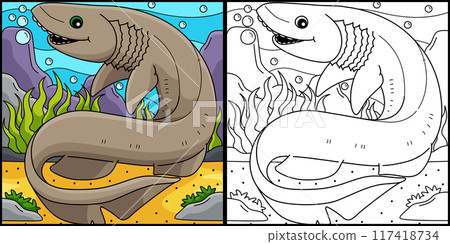 Frilled Shark Coloring Page Colored Illustration 117418734