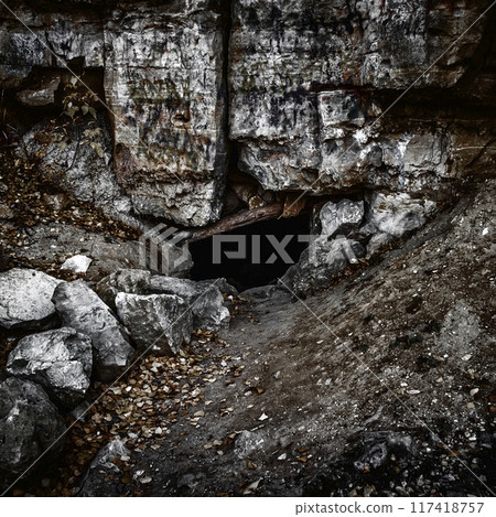 Entrance to the cave Entrance to the cave 117418757