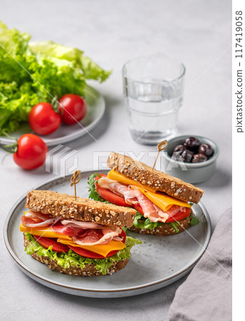 Two toast club sandwiches made of grain bread with cheddar cheese and bacon stuffed with tomatoes  117419058
