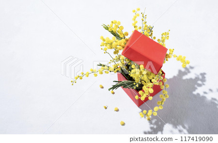 A bouquet of yellow mimosa flowers in a red present box on a light background with shadow.  117419090