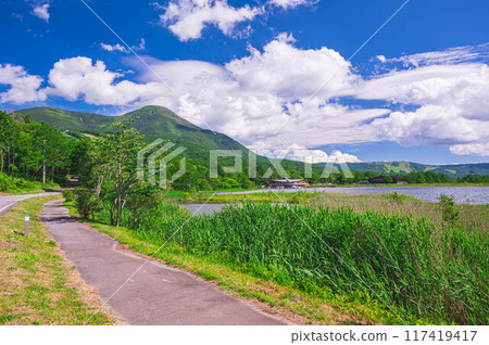 湖濱散步道和蓼科山 117419417