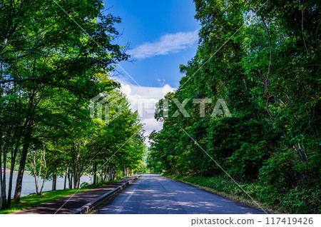 Lake Megami Promenade Lake Megami Promenade 117419426