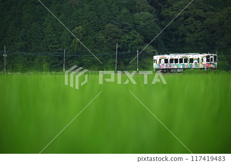 Local line running in green 117419483