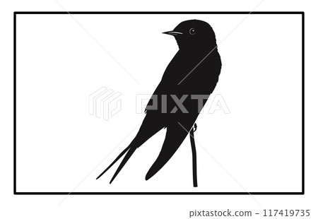 A flock of flying birds, swallow Flying Silhouettes, group of birds in the sky 117419735