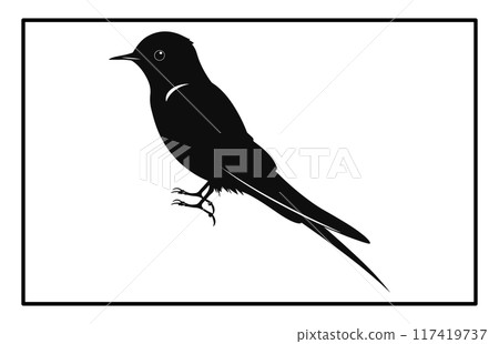 A flock of flying birds, swallow Flying Silhouettes, group of birds in the sky 117419737