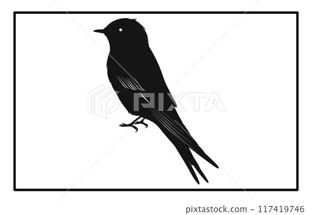 A flock of flying birds, swallow Flying Silhouettes, group of birds in the sky 117419746