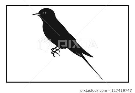 A flock of flying birds, swallow Flying Silhouettes, group of birds in the sky 117419747