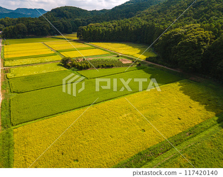 Aerial view of a golden rural area Aerial view of a golden rural area 117420140