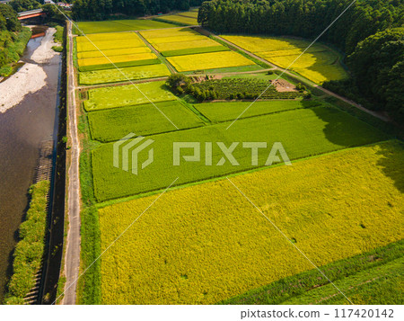 Aerial view of a golden rural area Aerial view of a golden rural area 117420142