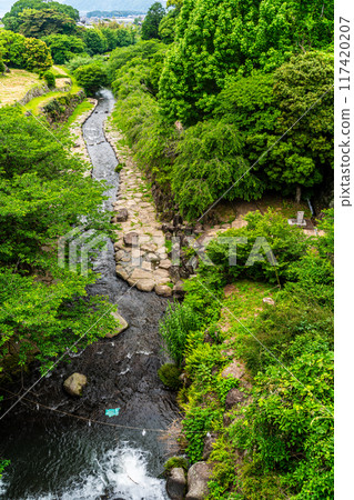 Tachibana Shrine with fresh greenery [Unzen City, Nagasaki Prefecture] 117420207