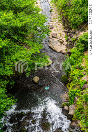 Tachibana Shrine with fresh greenery [Unzen City, Nagasaki Prefecture] 117420208