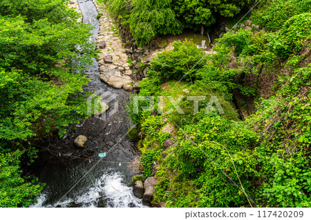 Tachibana Shrine with fresh greenery [Unzen City, Nagasaki Prefecture] 117420209