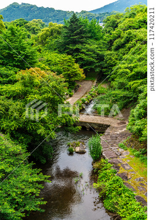 Tachibana Shrine with fresh greenery [Unzen City, Nagasaki Prefecture] 117420211
