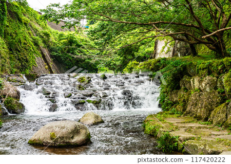 Tachibana Shrine with fresh greenery [Unzen City, Nagasaki Prefecture] 117420222
