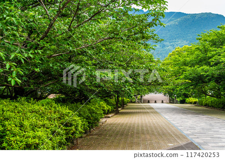 鮮綠的橘子神社【長崎縣雲仙市】 鮮綠的橘子神社【長崎縣雲仙市】 117420253