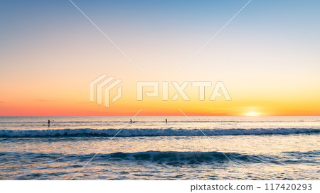 Silhouettes of people paddleboarding at Southport beach 117420293
