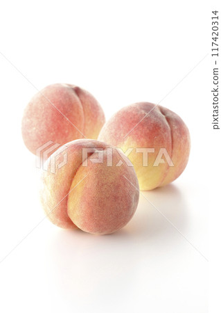 Peaches photographed on a white background Peaches photographed on a white background 117420314