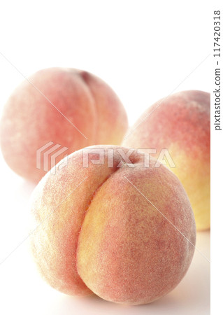 Peaches photographed on a white background Peaches photographed on a white background 117420318