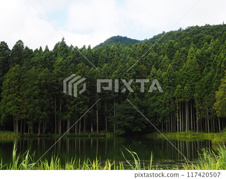 夏天的龍王淵 夏天的龍王淵 117420507