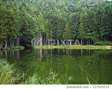 Summer at Ryuo-ga-buchi Summer at Ryuo-ga-buchi 117420533