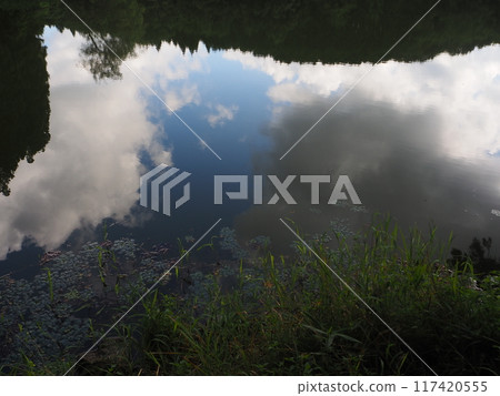 夏天的龍王淵 117420555