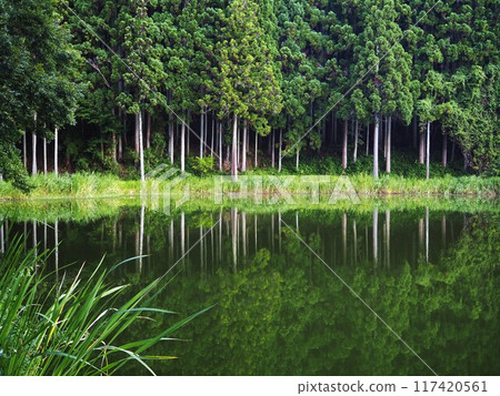 夏天的龍王淵 117420561