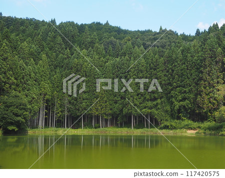 夏天的龍王淵 117420575