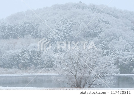 龜岡市平之澤池的雪景 龜岡市平之澤池的雪景 117420811