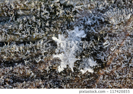 發光的欄桿和雪花 發光的欄桿和雪花 117420855