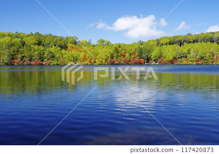 Autumn leaves of Kita Yatsugatake · Shirakoma Pond Autumn leaves of Kita Yatsugatake · Shirakoma Pond 117420873