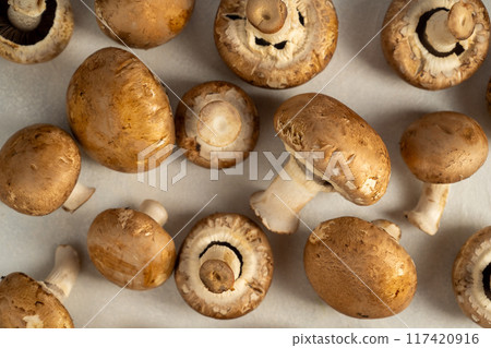 Raw champignons on bright background, button mushrooms. Vegan protein.  117420916