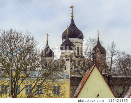 Tallinn, Estonia in winter [Alexander Nevsky Cathedral] / Tallinn, Estonia 117421185