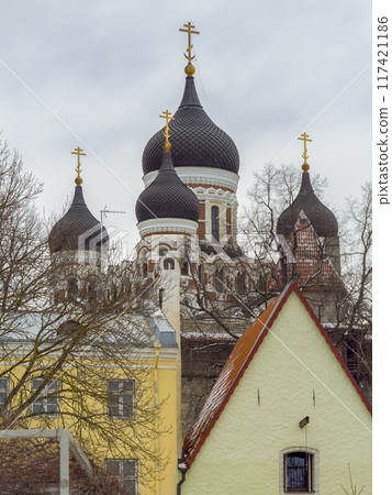 愛沙尼亞塔林冬季 [亞歷山大涅夫斯基大教堂] / 愛沙尼亞塔林 117421186