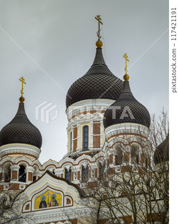 愛沙尼亞塔林冬季 [亞歷山大涅夫斯基大教堂] / 愛沙尼亞塔林 117421191
