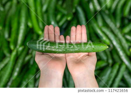 Child's hand holding a cucumber 117421656