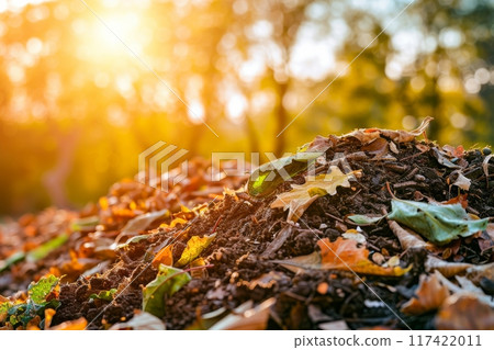 A multicolored pile of fallen autumn leaves lie on the ground 117422011