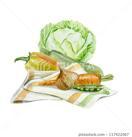 Vegetables. Cabbage, zucchini, peppers, onions, carrots, peas. Watercolor illustration isolated. Harvest and Vegetarian Day cards, labels, packaging. 117422067