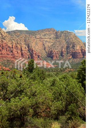 Red Rock Country surrounding Sedona Arizona 117422274