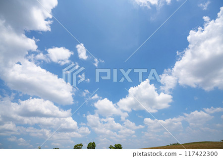 Summer clouds and trees Summer clouds and trees 117422300