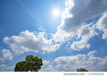 夏天的雲、樹木和陽光 夏天的雲、樹木和陽光 117422301