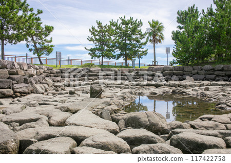 Fishing scenery, Yaizu City, Shizuoka Prefecture Fishing scenery, Yaizu City, Shizuoka Prefecture 117422758