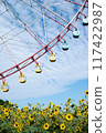 Ferris wheel and sunflower 117422987
