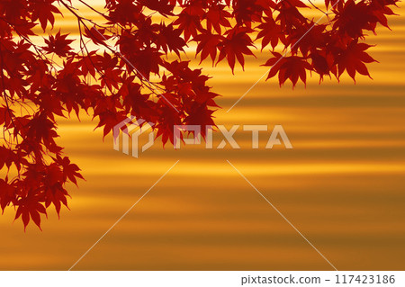 A warm autumn moment, the gradation of the water surface and the scenery of autumn leaves 117423186